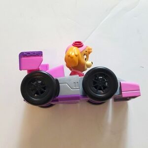 Paw Patrol Sky character race car